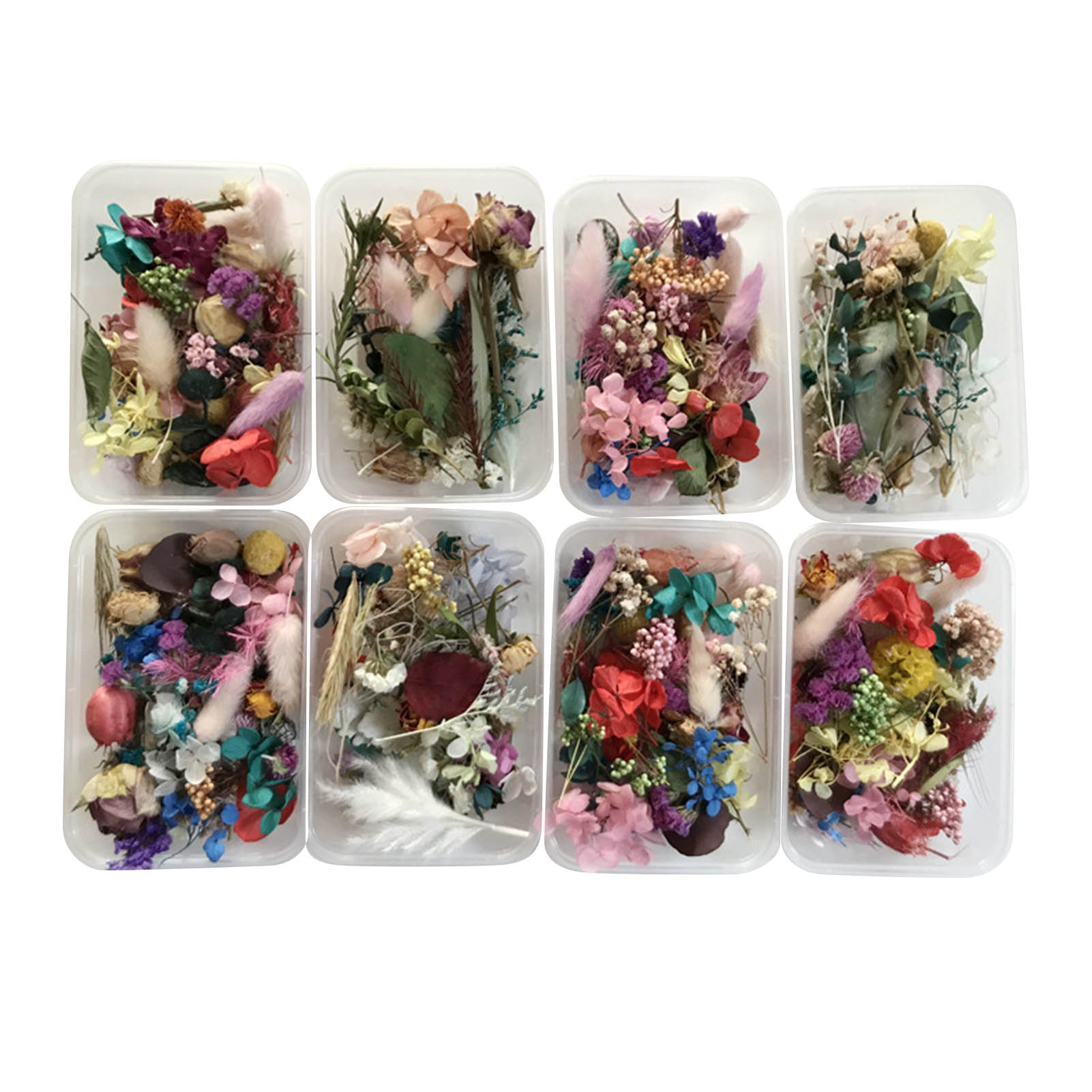Dried Herbs - Natürliches getrocknetes Blumen-Set, gepresste Kunstwerke, Kunsthandwerk,