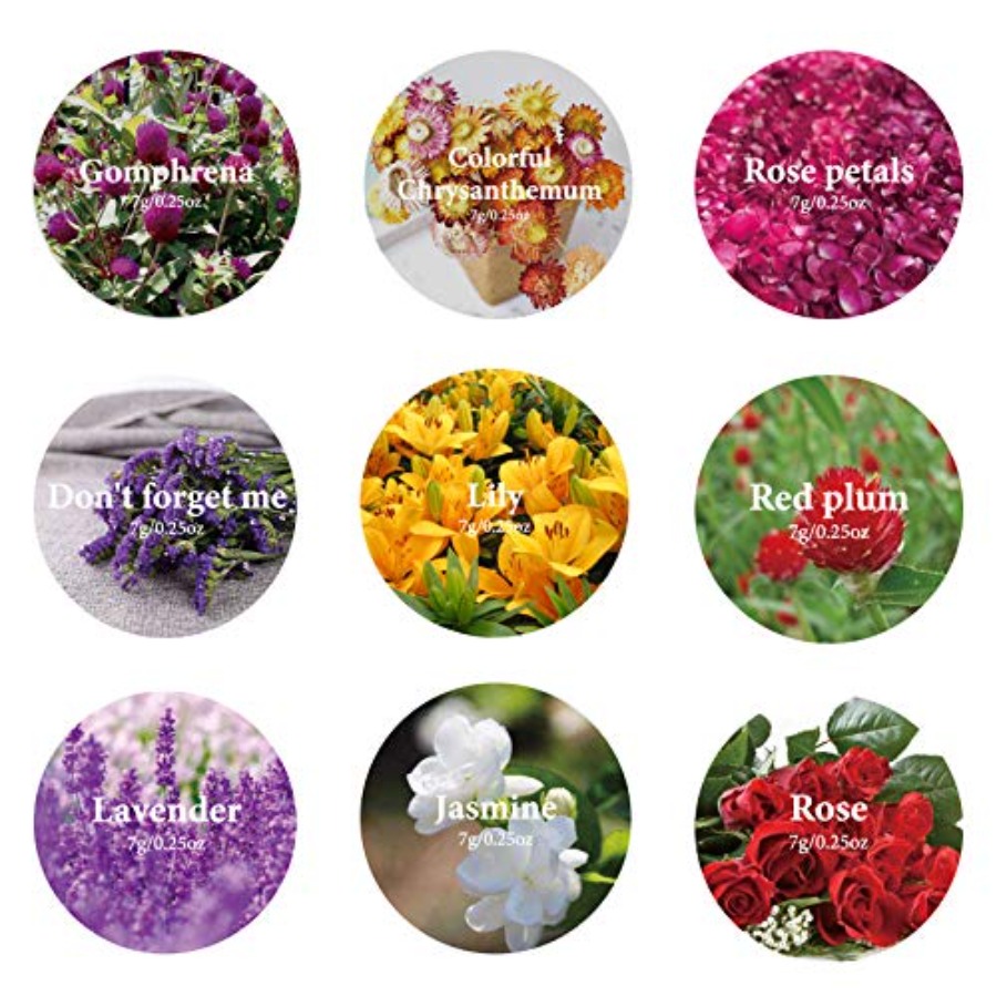 9 Beutel Getrocknete Blumen, 1 – Dried Herbs Bewertung und Preis