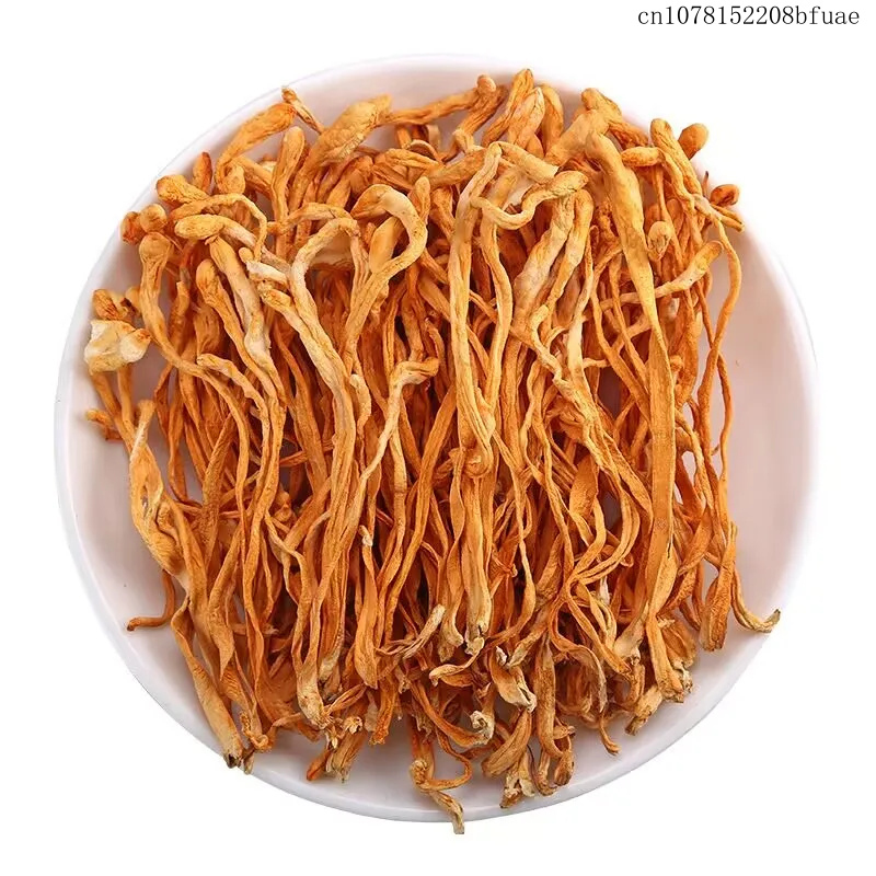 250g/500g Getrocknete Cordycep – Dried Herbs Bewertung und Preis
