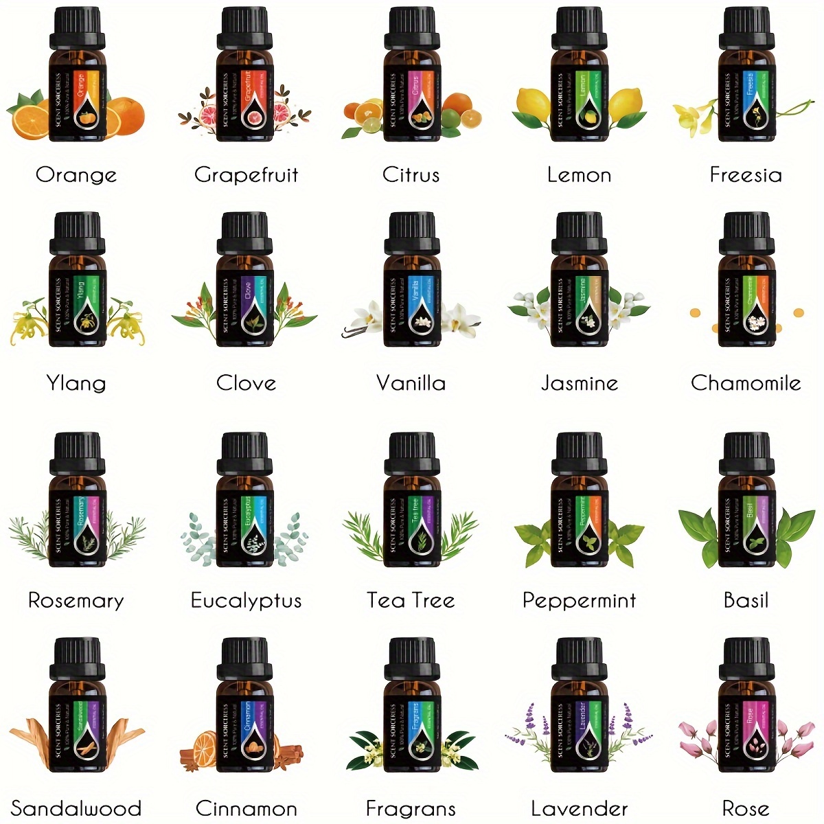 20-teiliges Set Klassisches Ma – Lavender Oil Bewertung und Preis